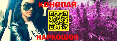 a pvp Будённовск