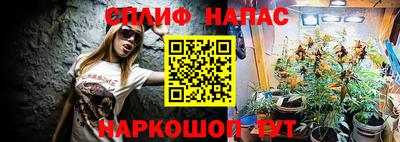 a pvp Будённовск