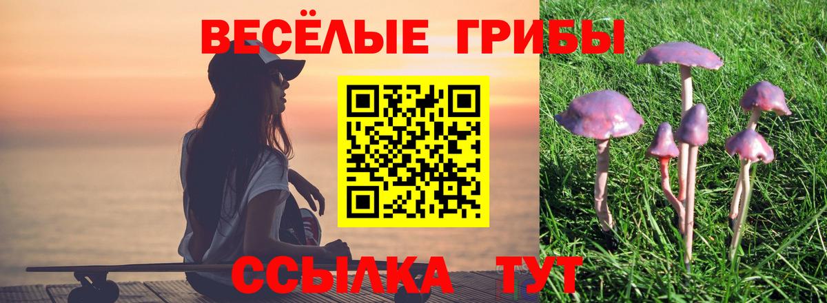 Псилоцибиновые грибы Magic Shrooms  Вход с VPN  где купить наркотик  Заринск  Галлюциногенные грибы Cubensis 